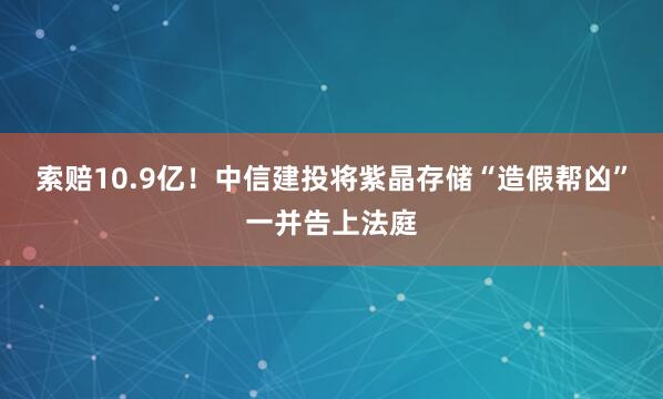 索赔10.9亿！中信建投将紫晶存储“造假帮凶”一并告上法庭