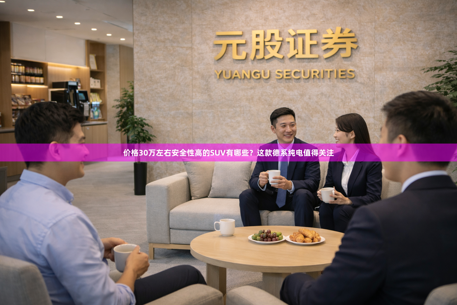 价格30万左右安全性高的SUV有哪些？这款德系纯电值得关注
