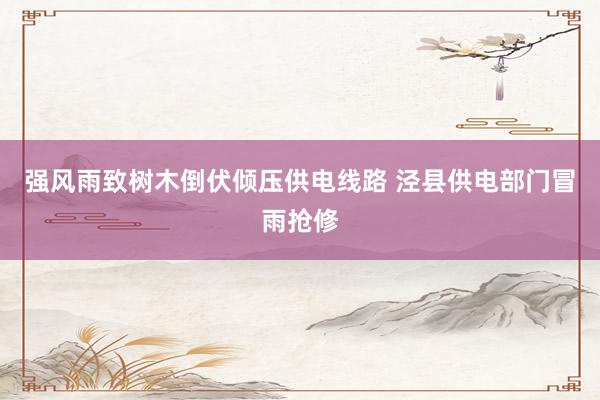 强风雨致树木倒伏倾压供电线路 泾县供电部门冒雨抢修