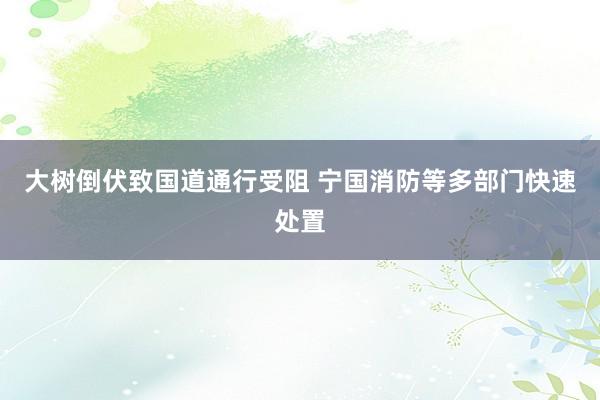 大树倒伏致国道通行受阻 宁国消防等多部门快速处置