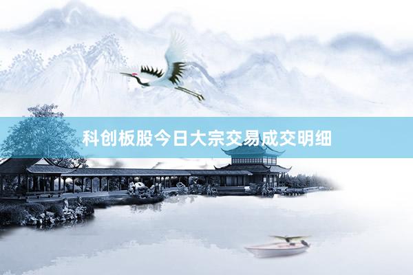 科创板股今日大宗交易成交明细
