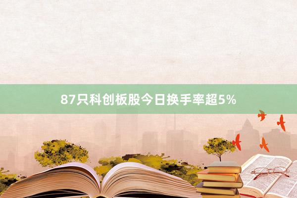 87只科创板股今日换手率超5%