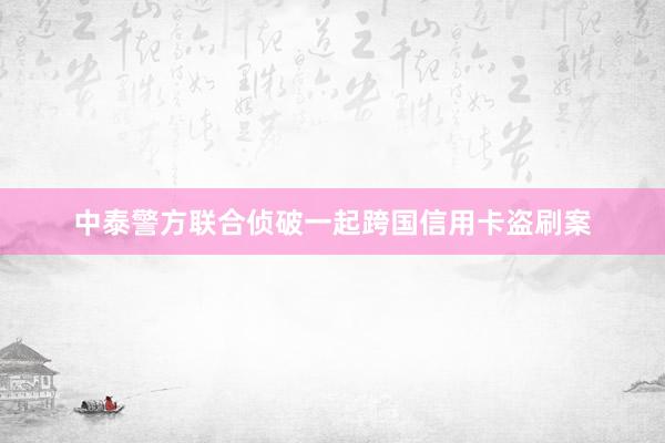 中泰警方联合侦破一起跨国信用卡盗刷案