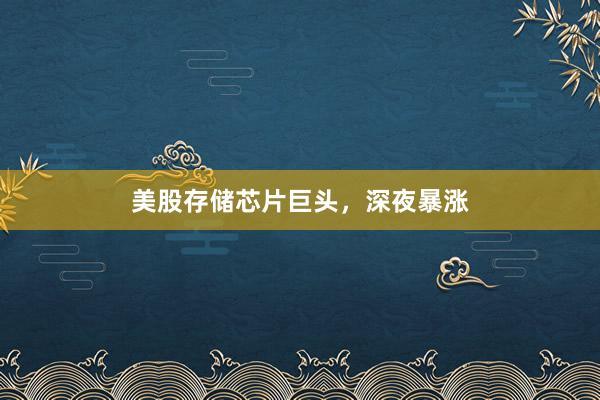 美股存储芯片巨头，深夜暴涨