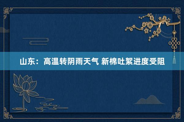 山东：高温转阴雨天气 新棉吐絮进度受阻