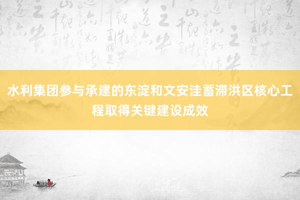 水利集团参与承建的东淀和文安洼蓄滞洪区核心工程取得关键建设成效