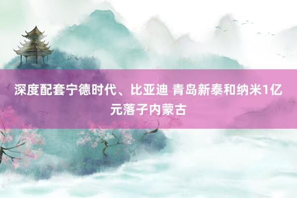 深度配套宁德时代、比亚迪 青岛新泰和纳米1亿元落子内蒙古