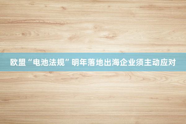 欧盟“电池法规”明年落地出海企业须主动应对