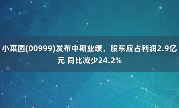 小菜园(00999)发布中期业绩，股东应占利润2.9亿元 同比减少24.2%