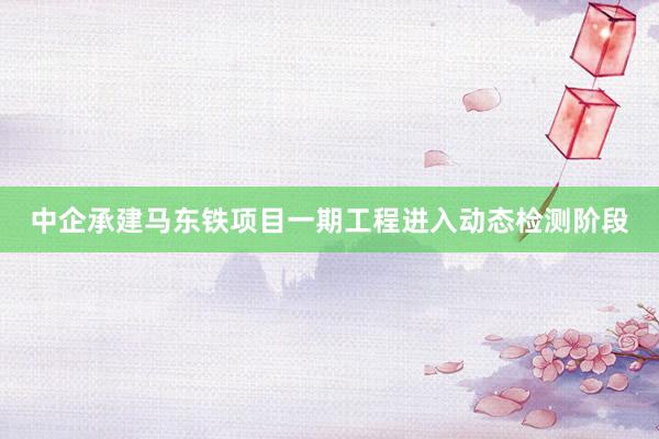 中企承建马东铁项目一期工程进入动态检测阶段