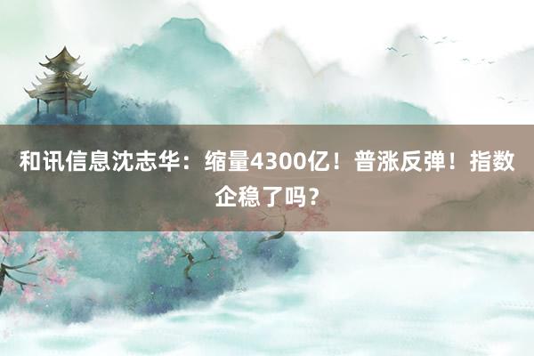 和讯信息沈志华：缩量4300亿！普涨反弹！指数企稳了吗？