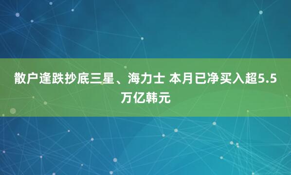 散户逢跌抄底三星、海力士 本月已净买入超5.5万亿韩元