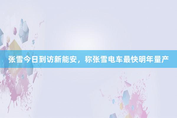 张雪今日到访新能安，称张雪电车最快明年量产