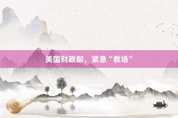 美国财政部，紧急“救场”