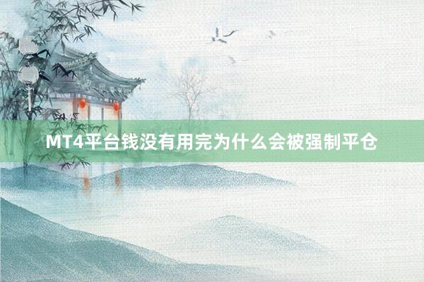 MT4平台钱没有用完为什么会被强制平仓