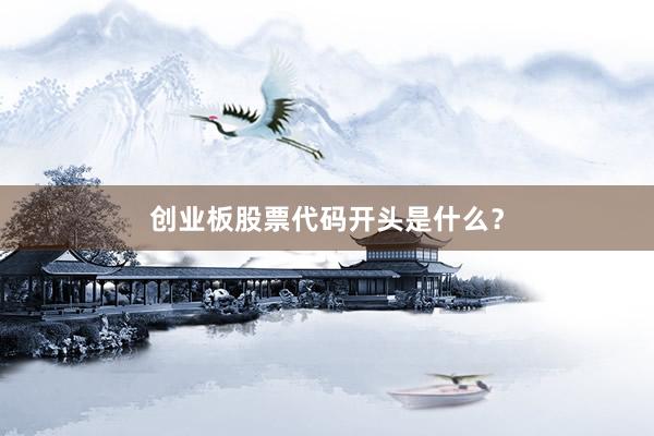 创业板股票代码开头是什么？