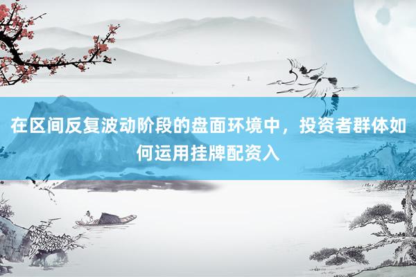 在区间反复波动阶段的盘面环境中，投资者群体如何运用挂牌配资入