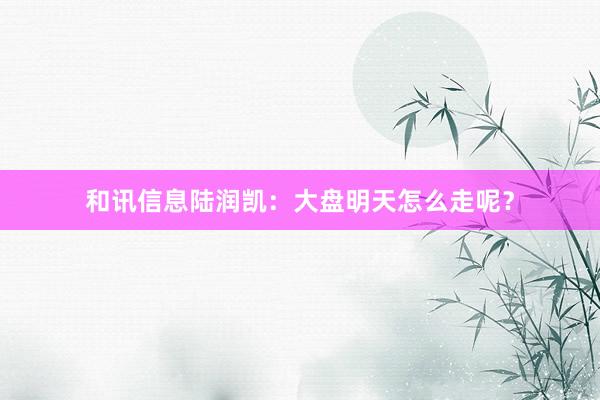 和讯信息陆润凯：大盘明天怎么走呢？