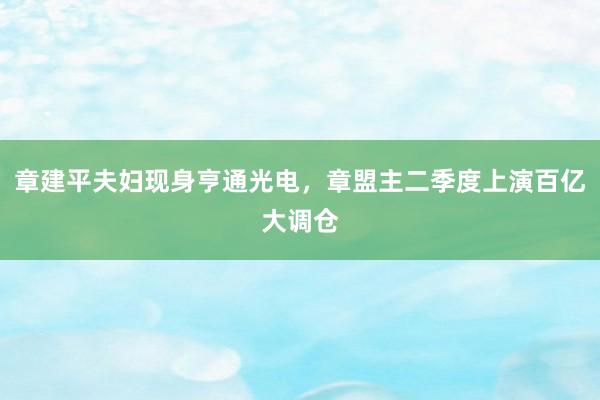 章建平夫妇现身亨通光电，章盟主二季度上演百亿大调仓