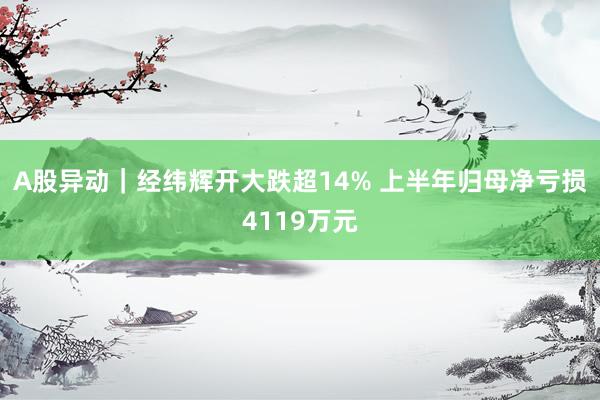 A股异动｜经纬辉开大跌超14% 上半年归母净亏损4119万元