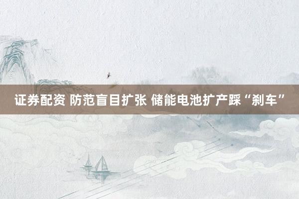证券配资 防范盲目扩张 储能电池扩产踩“刹车”
