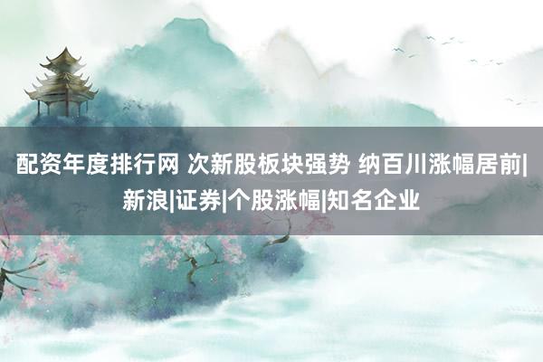 配资年度排行网 次新股板块强势 纳百川涨幅居前|新浪|证券|个股涨幅|知名企业