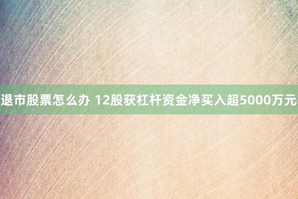 退市股票怎么办 12股获杠杆资金净买入超5000万元