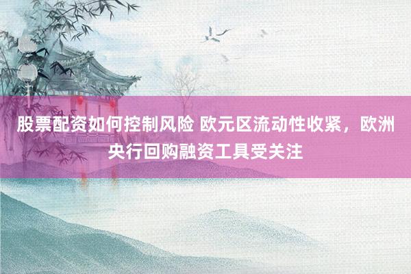 股票配资如何控制风险 欧元区流动性收紧,欧洲央行回购融资工具受关注