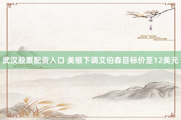 武汉股票配资入口 美银下调艾伯森目标价至12美元